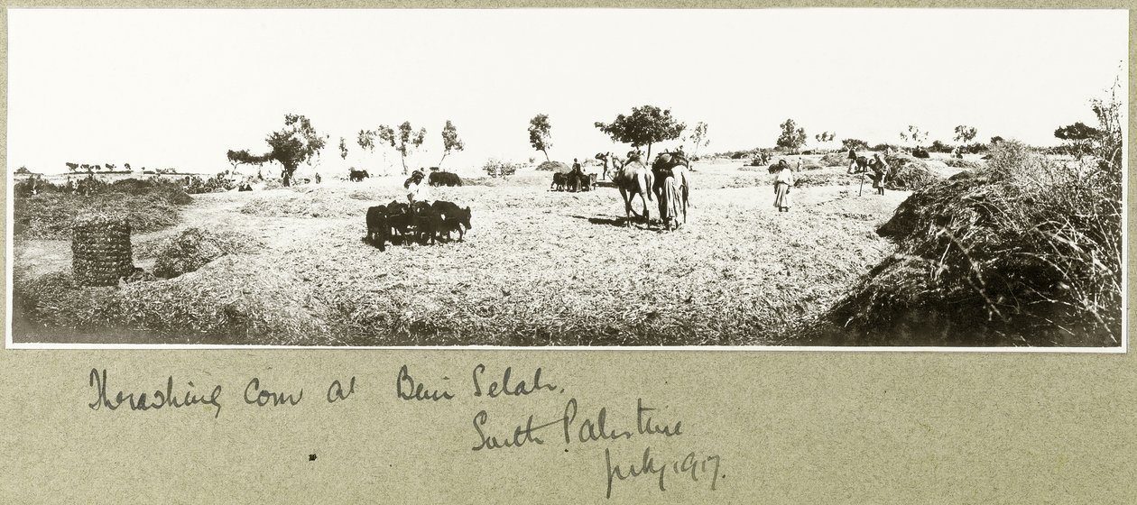 Beni Selah