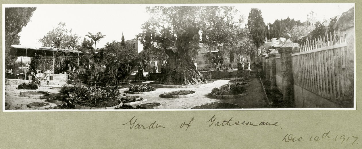 Gethsemane Bahçesi, 14 Aralık 1917 by Capt. Arthur Rhodes