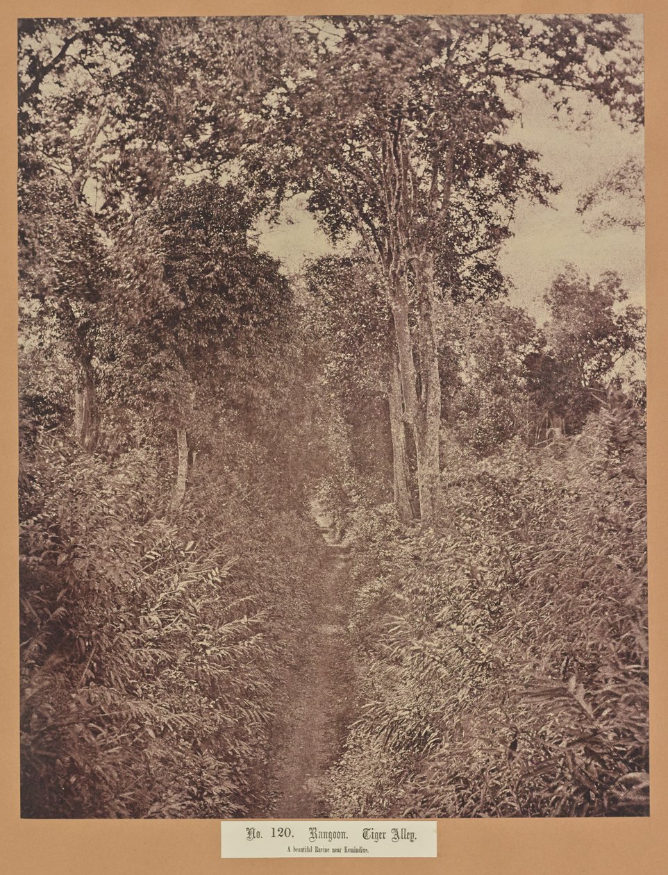  by Capt. Linnaeus Tripe