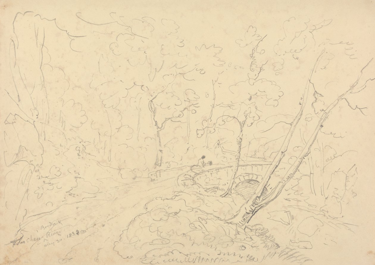Holne Chase Köprüsü ve Nehri, 30 Mayıs 1833 by Capt. Thomas Hastings