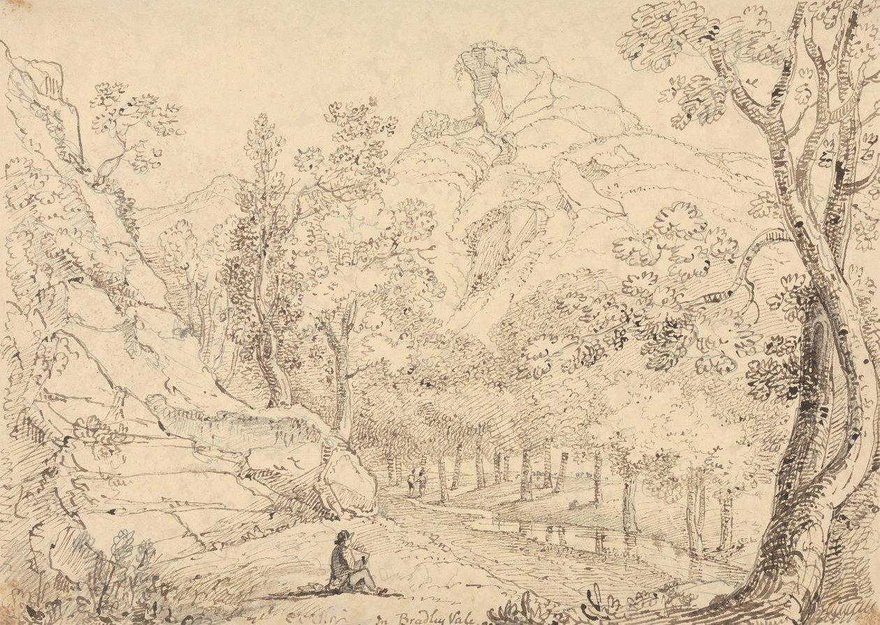 Bradley Vale'de, Mayıs 1833 by Capt. Thomas Hastings