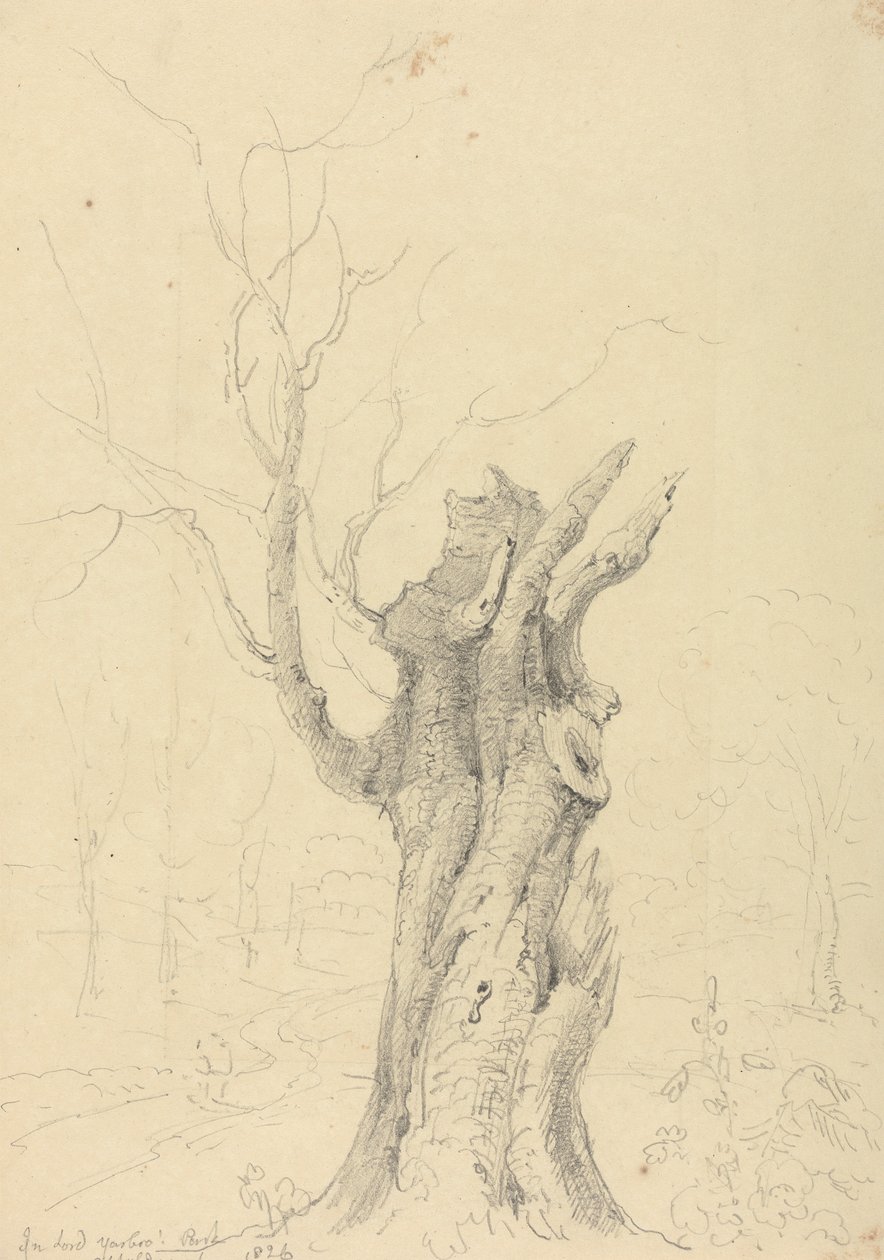 Lord Yarborough's Park, Appuldurcombe, Wight Adası'nda by Capt. Thomas Hastings