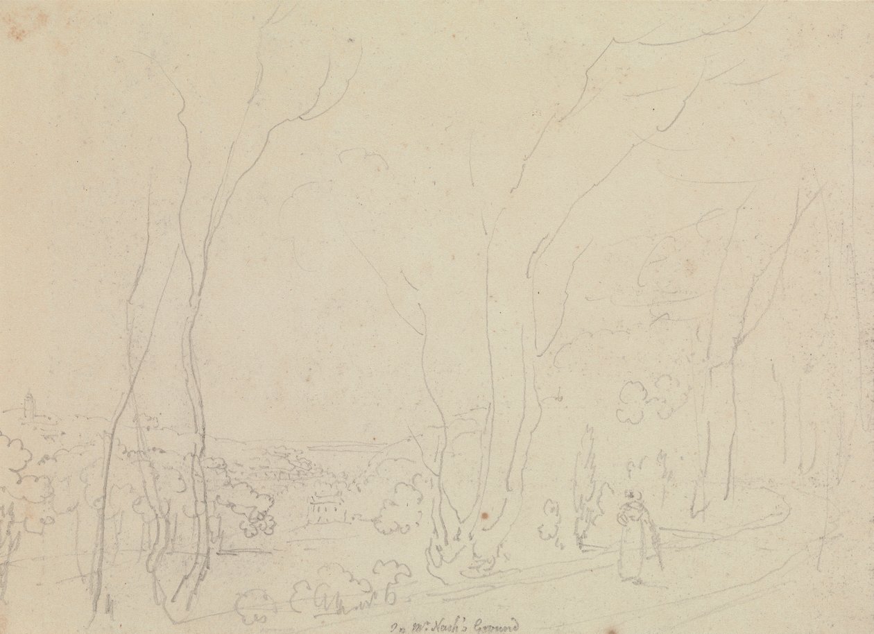Bay Nash'in Alanı by Capt. Thomas Hastings