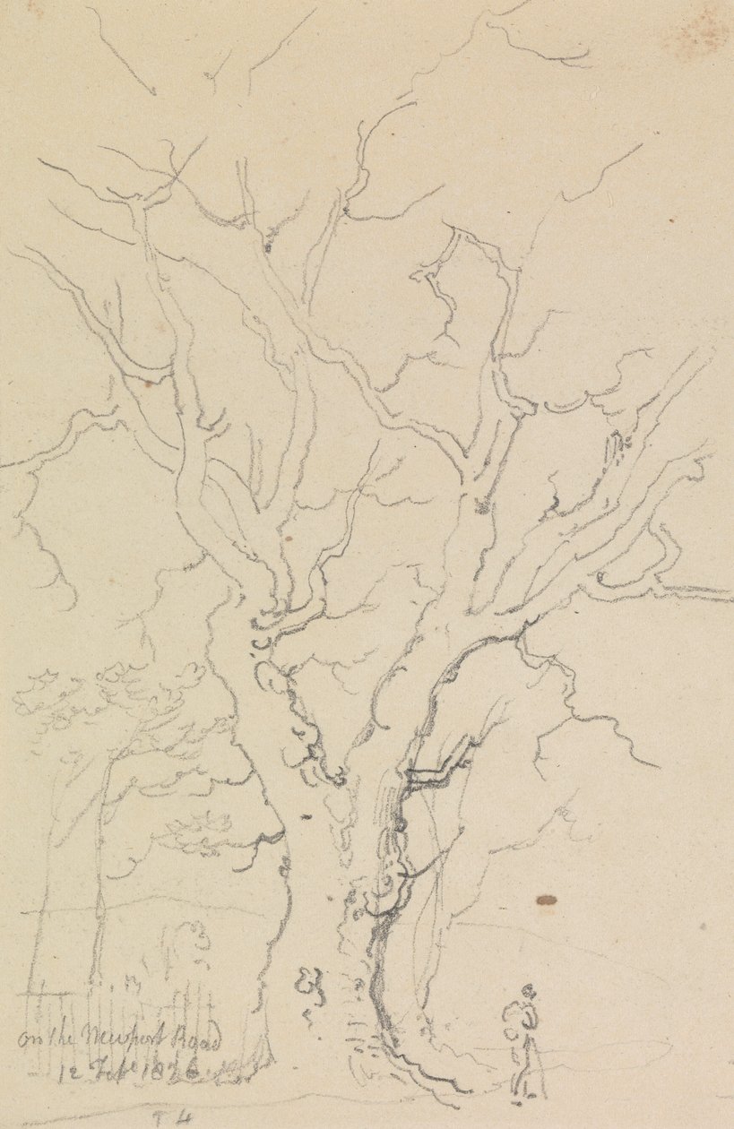 Newport Yolu'nda, 12 Şubat 1826 by Capt. Thomas Hastings