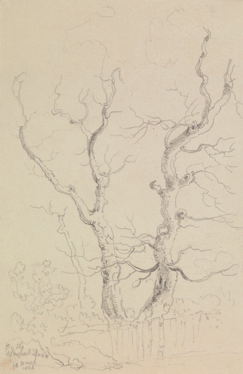 Newport Yolu üzerinde, Wight Adası by Capt. Thomas Hastings