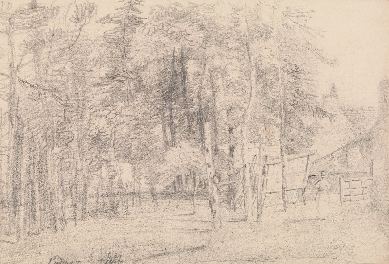 Padmore, Wight Adası by Capt. Thomas Hastings