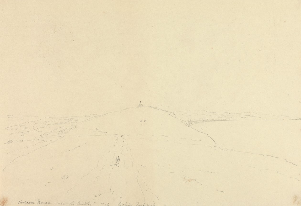 Shalcombe Down, Needles yakınında, Doğuya Bakıyor by Capt. Thomas Hastings