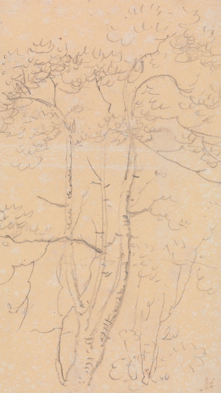Ağaç Taslağı, Shorwell, Wight Adası by Capt. Thomas Hastings