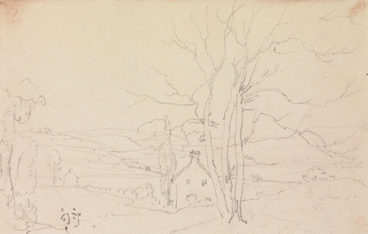 Büyük Bir Ağaç ve Bir Kulübe Taslağı by Capt. Thomas Hastings