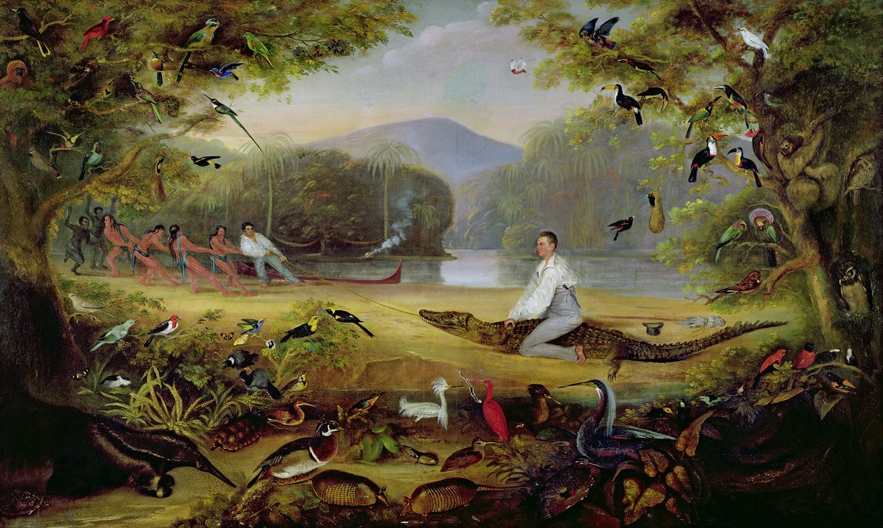 Charles Waterton bir cayman yakalarken, 1825-26 by Captain Edward Jones