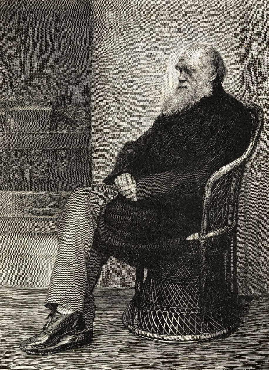 Charles Darwin, 1887'de yayınlanan 'The Life and Letters of Charles Darwin', Cilt II'den bir örnek by Captain L. Darwin
