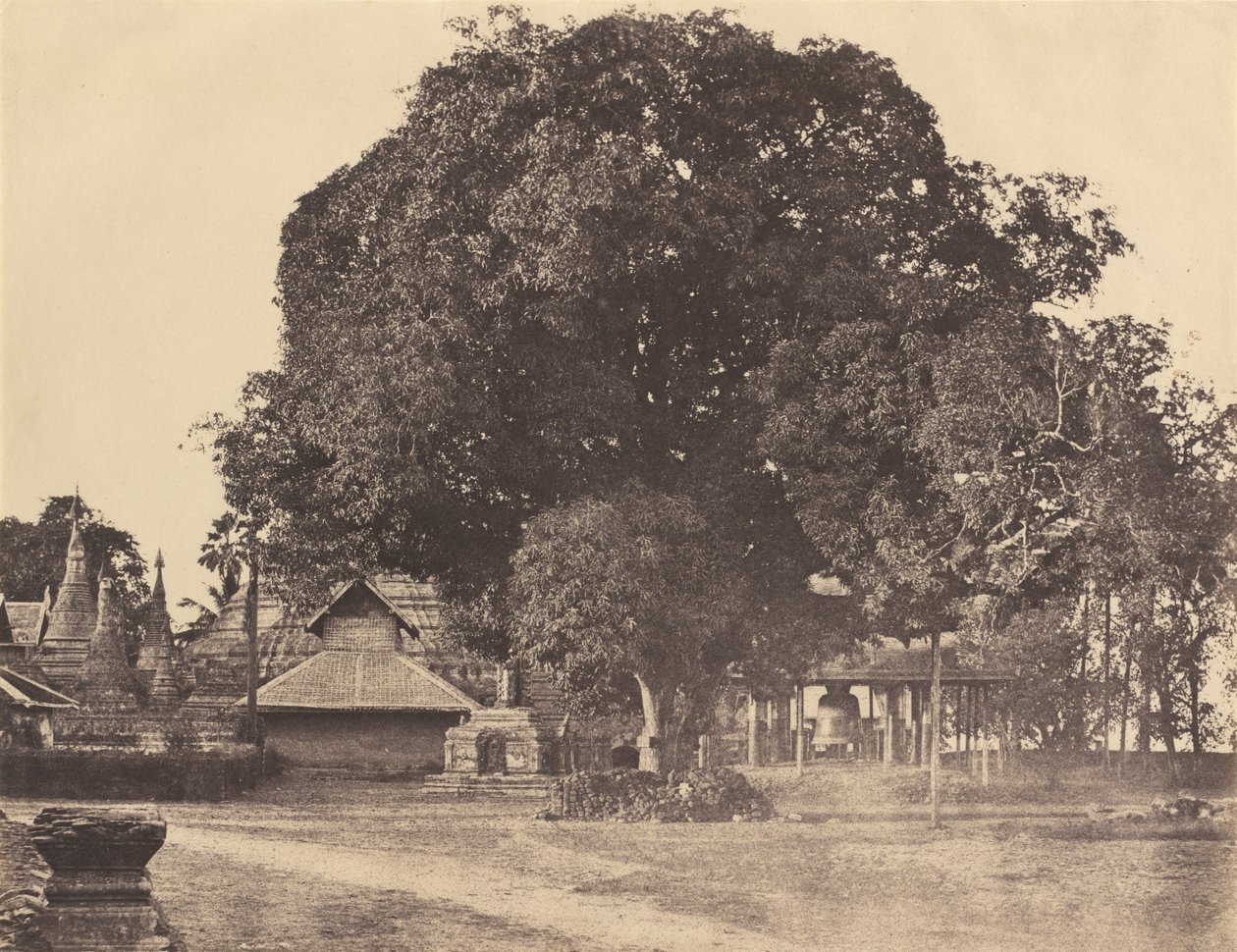 Rangoon: Shwe Dagon Pagoda