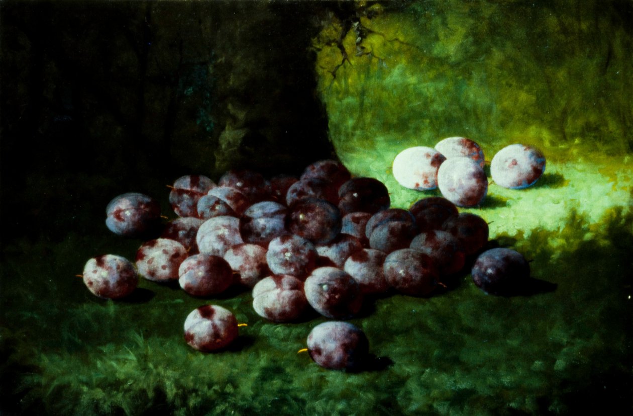 Plums, c.1870 (oil on canvas mounted to millboard) by Carducius Plantagenet Ream