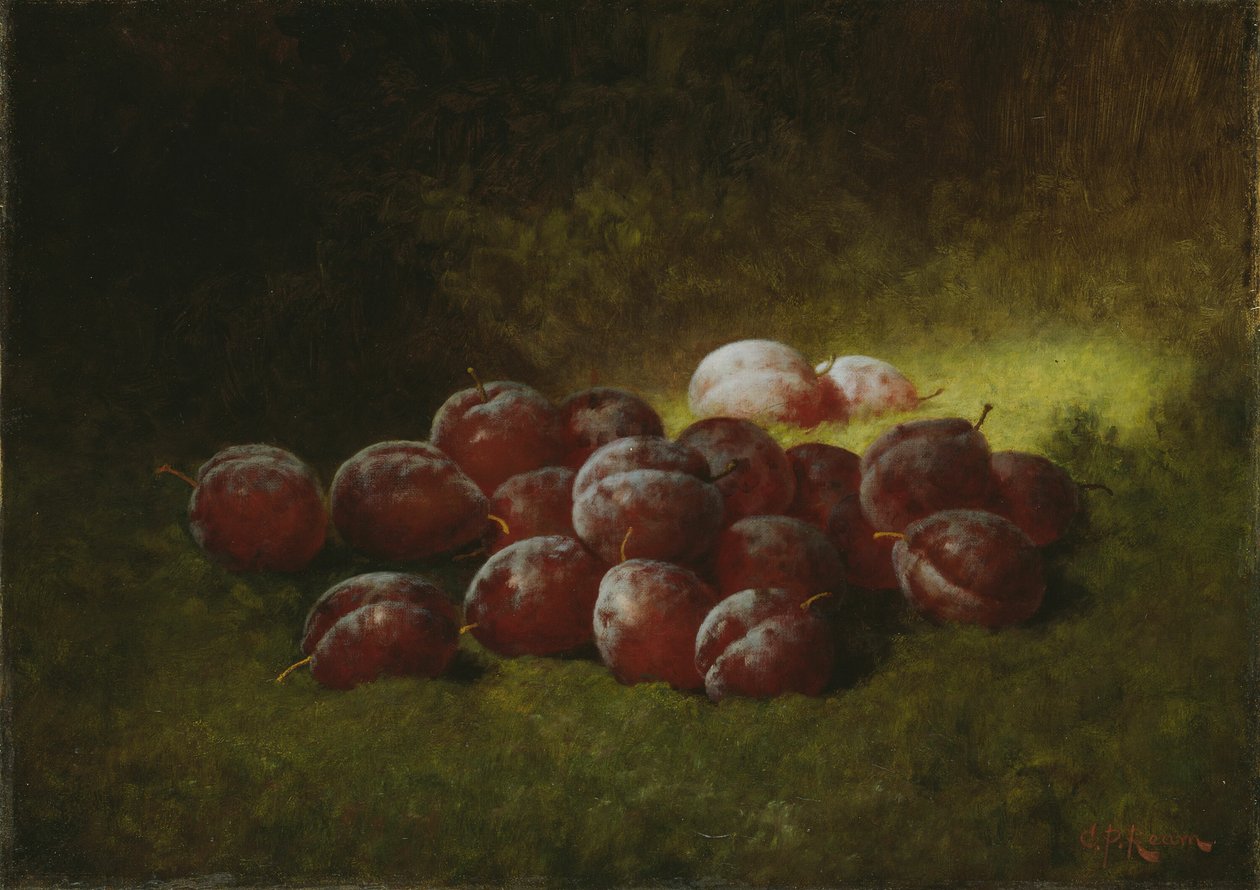 Mor Erikler, 1895. by Carducius Plantagenet Ream