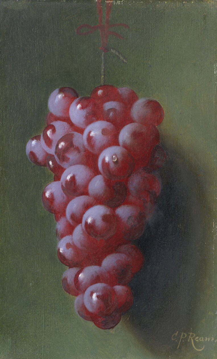 Üzüm ile Natürmort. by Carducius Plantagenet Ream