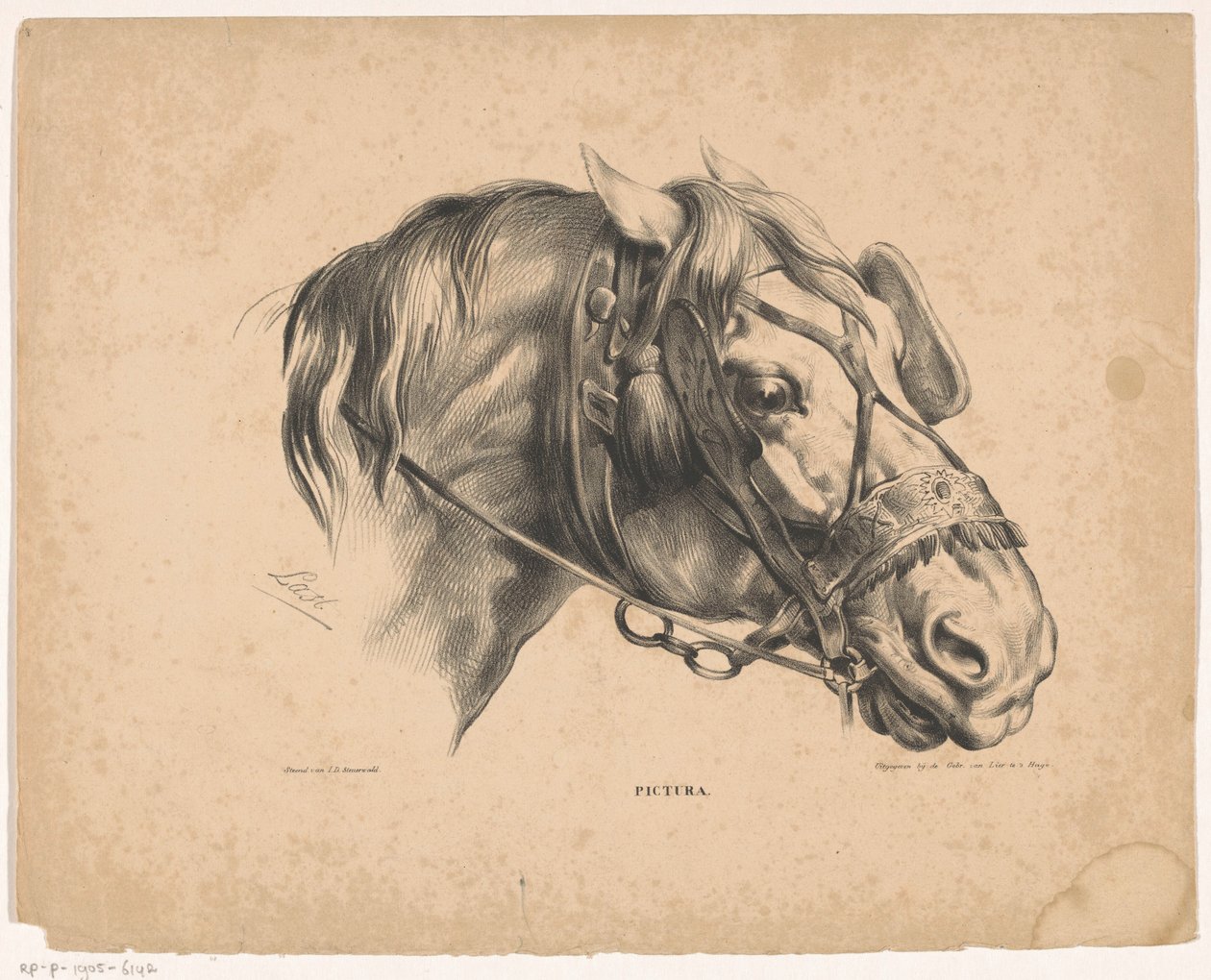 Dizgin ile at kafası Pictura (nesne üzerinde seri başlığı) by Carel Christiaan Antony Last