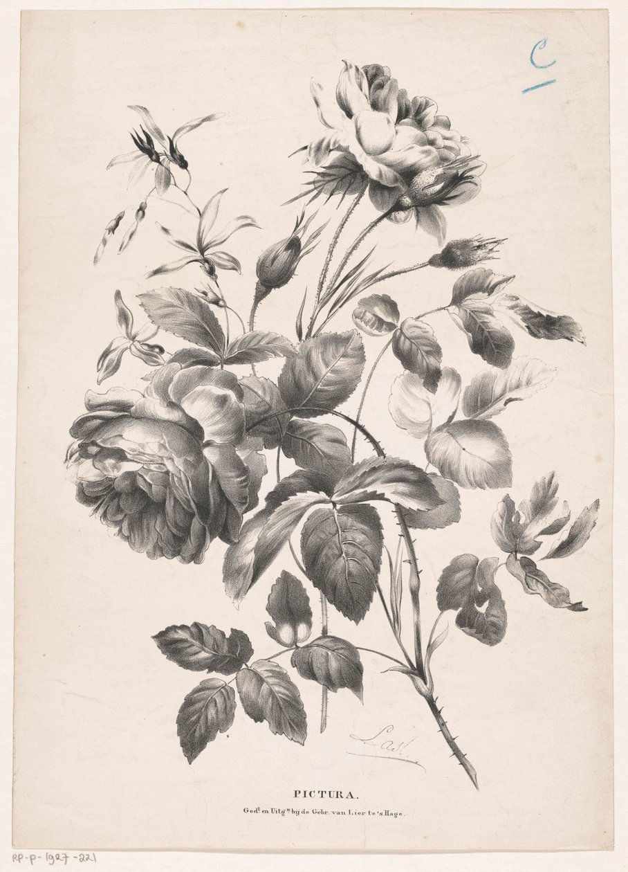 cıvıl cıvıl Pictura (nesne üzerinde seri başlığı) by Carel Christiaan Antony Last