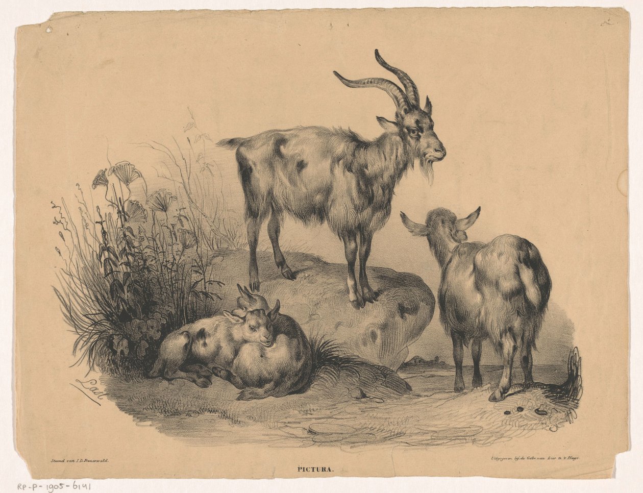 dört keçi Pictura (nesne üzerinde seri başlığı) by Carel Christiaan Antony Last