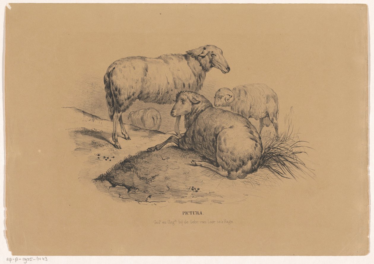 dört koyun Pictura (nesne üzerinde seri başlığı) by Carel Christiaan Antony Last