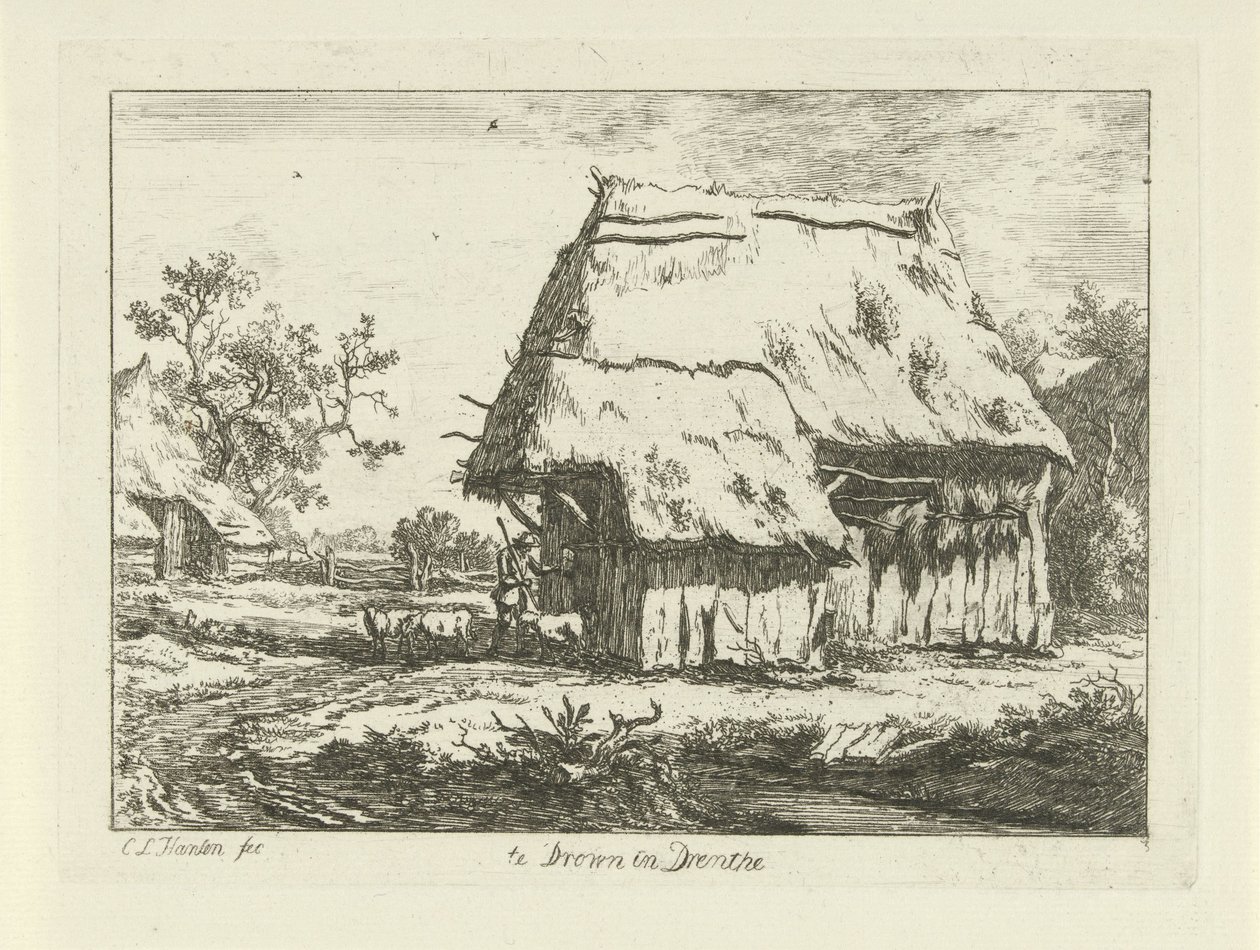 Bir ağılda çoban Drenthe
