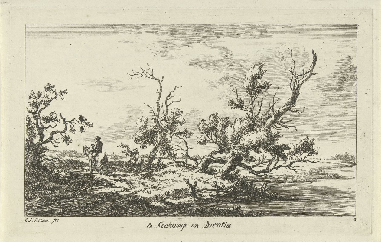 Bir manzara binici Drenthe