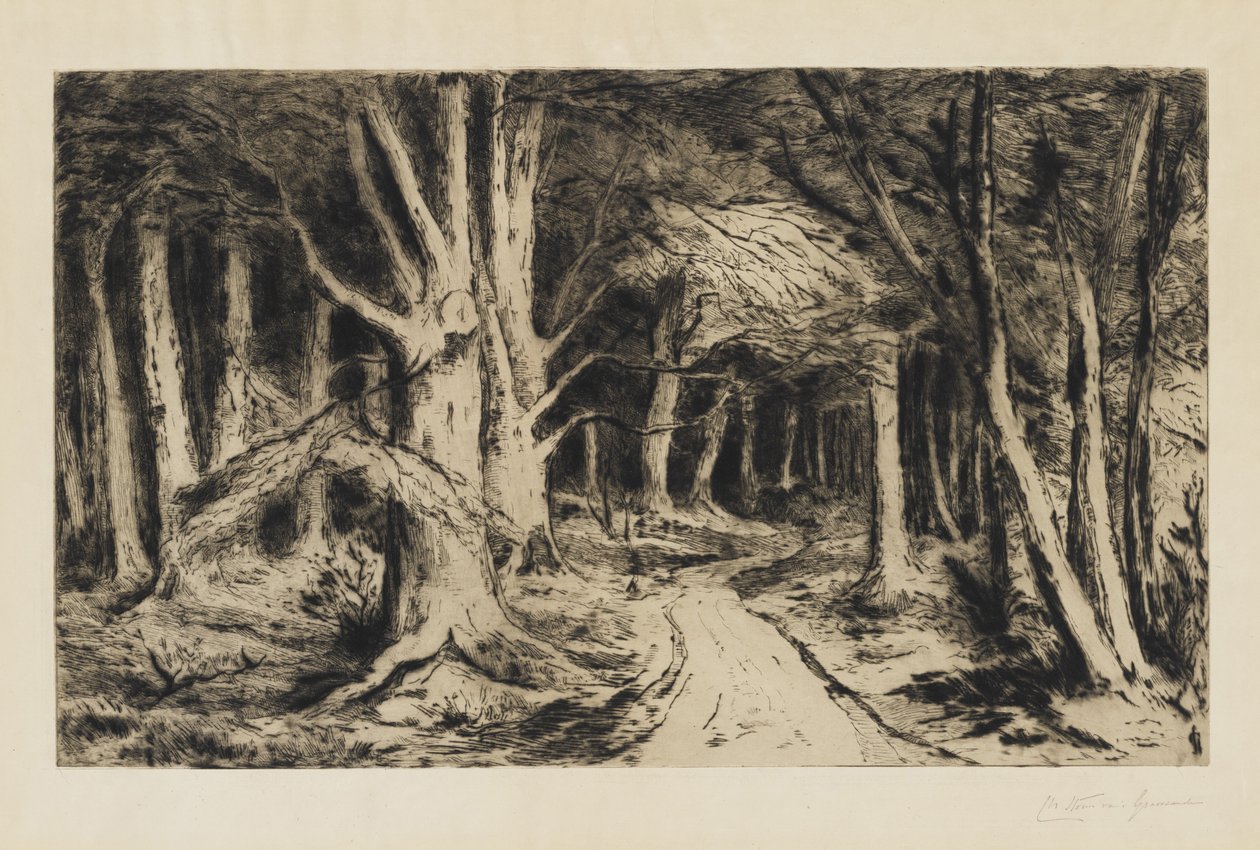 Orman Yolu, c.1885 by Carel Nicolaas Storm van s Gravesande