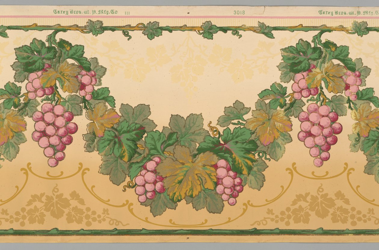 Friz (ABD), 1890–1910 by Carey Bros