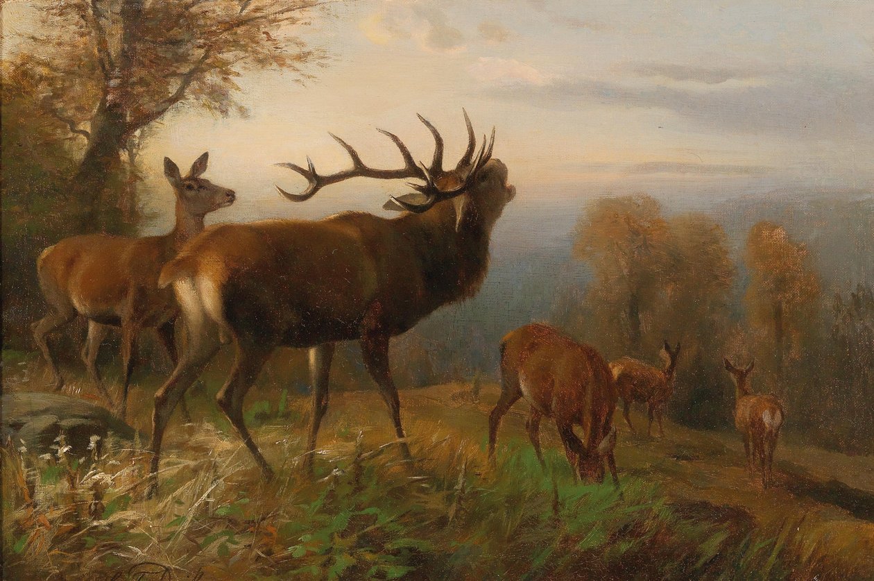 Kızıl Geyik Sürüsü by Carl Friedrich Deiker