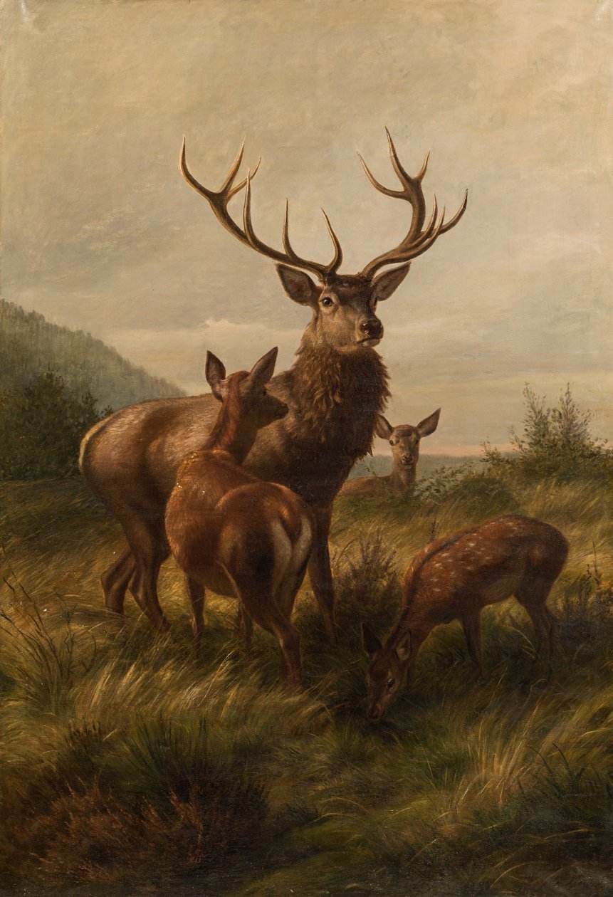 Arkaları olan on iki çamurluk by Carl Friedrich Deiker
