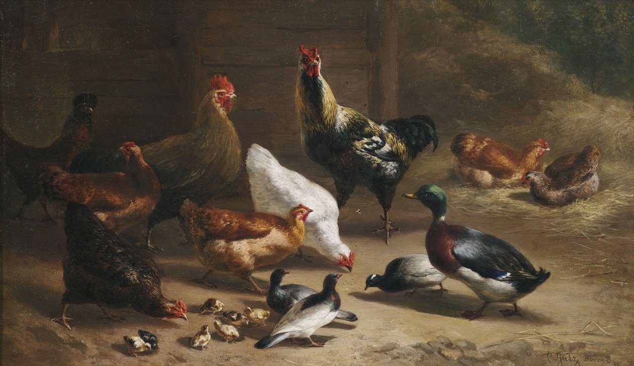 Ahır iç kümes hayvanları by Carl Jutz