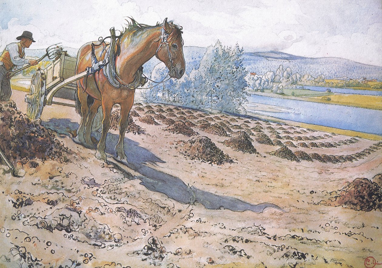 Bir nadas alanına yayılan muck by Carl Larsson