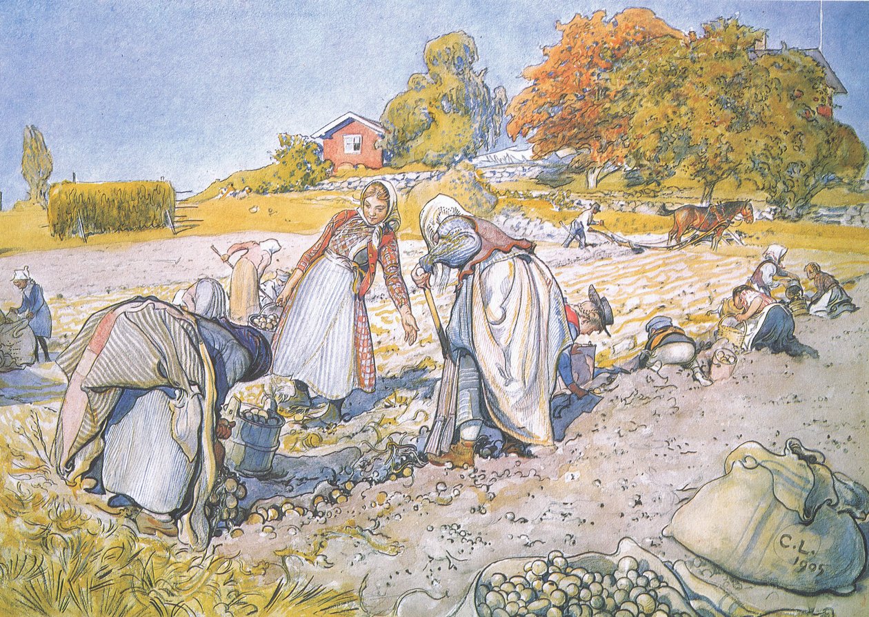 Çocuklar kovaları ve sepetleri patatesle doldurdu by Carl Larsson
