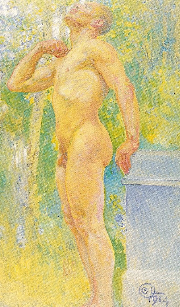 kroki by Carl Larsson