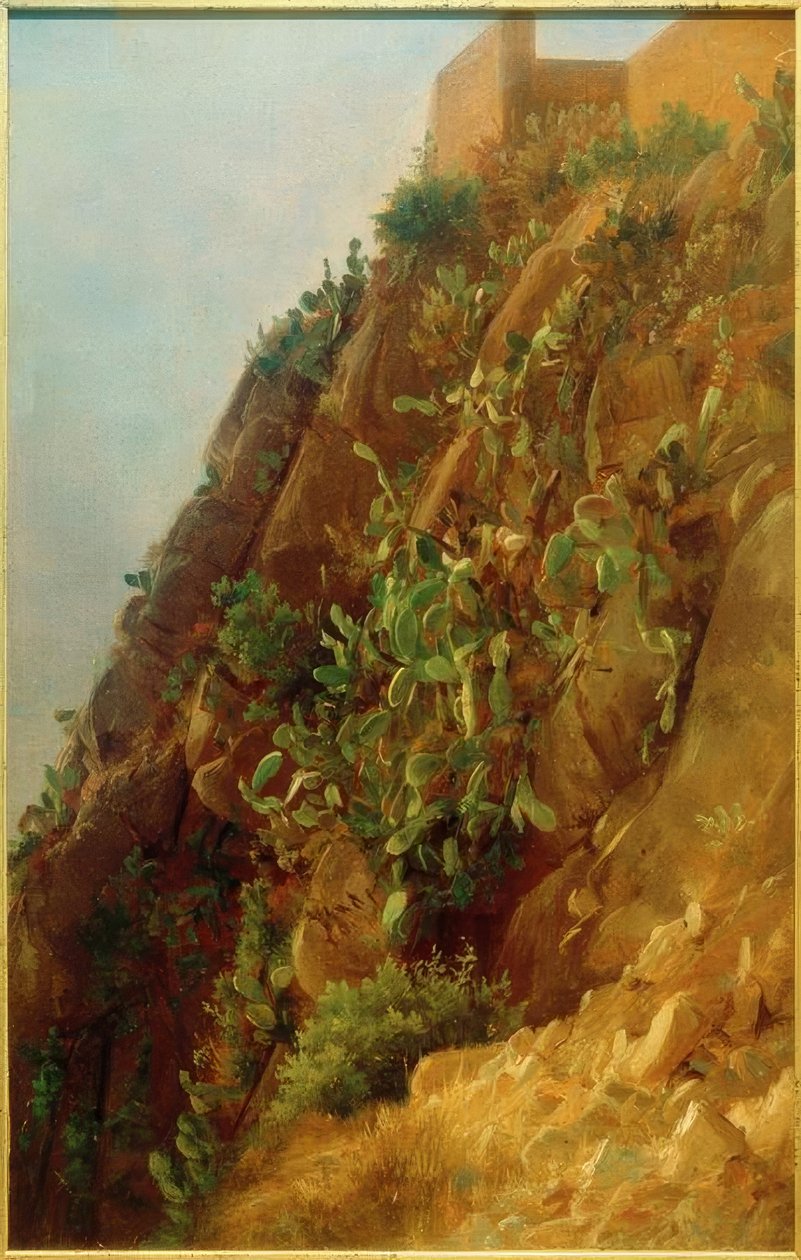 C. Morgenstern, Opuntia, Capri
