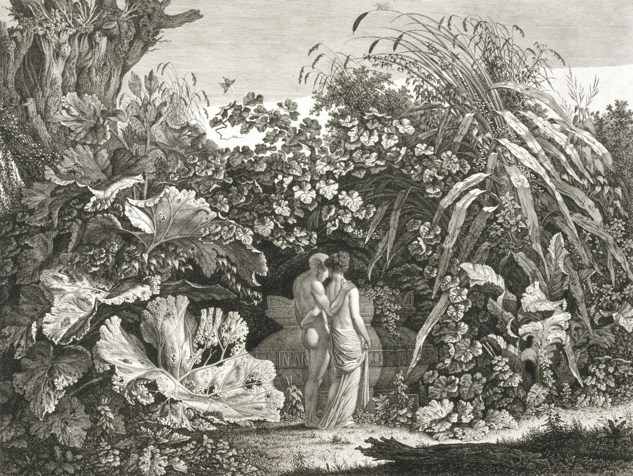 Ben de Arcadia