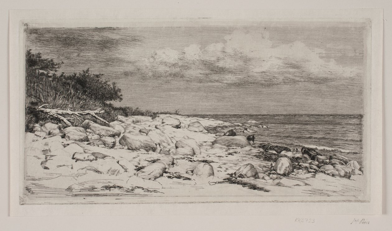 kayalık kıyı şeridi by Carl Bloch