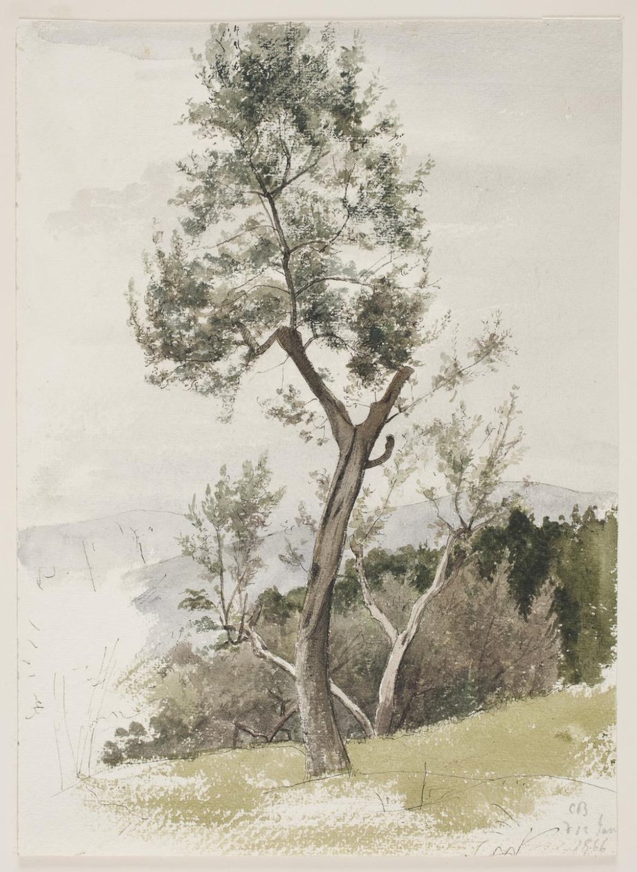 Bir yamaçta ağaçlar by Carl Bloch