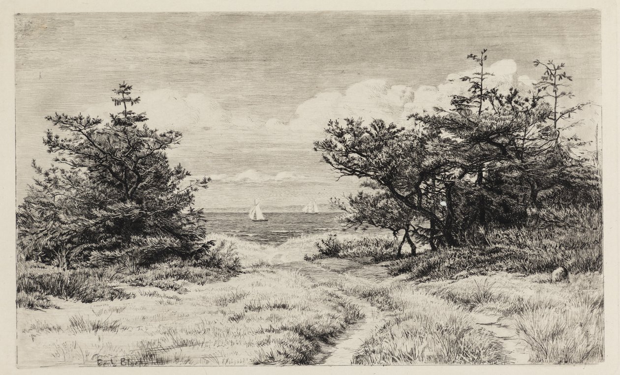 Deniz manzaraları by Carl Bloch