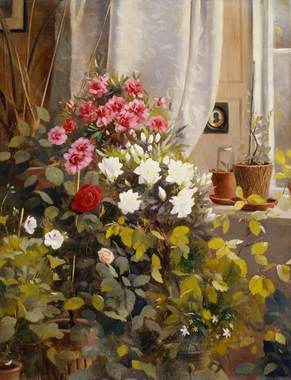 Pencerenin Yanında Açelyalar, Sardunyalar, Güller ve Diğer Saksı Bitkileri by Carl Christian Carlsen