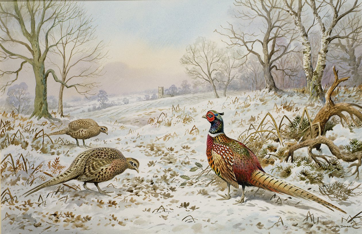Karlı Bir Manzarada Sülün ve Keklikler by Carl Donner