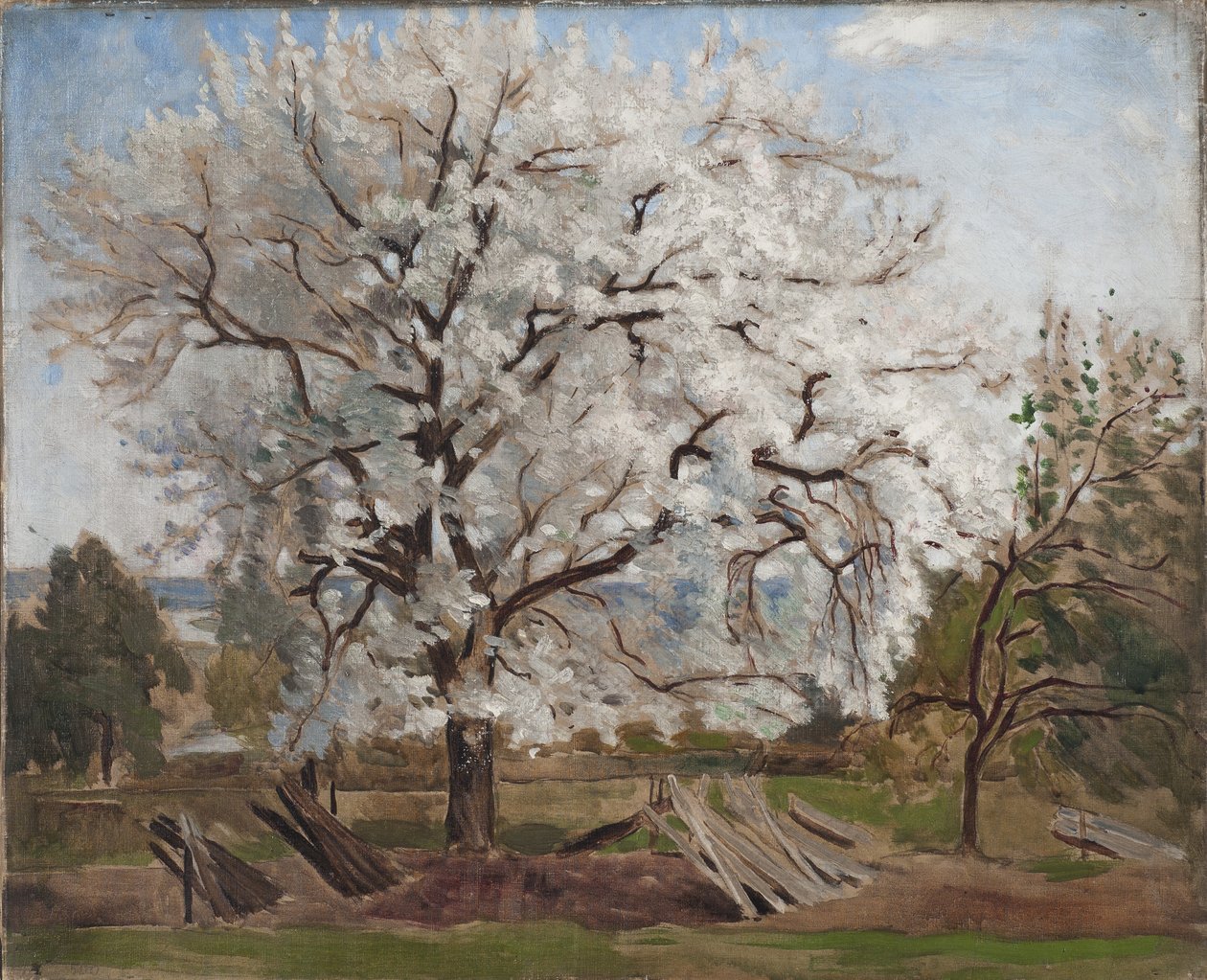 Çiçek Açan Elma Ağacı, 1877 by Carl Fredrik Hill