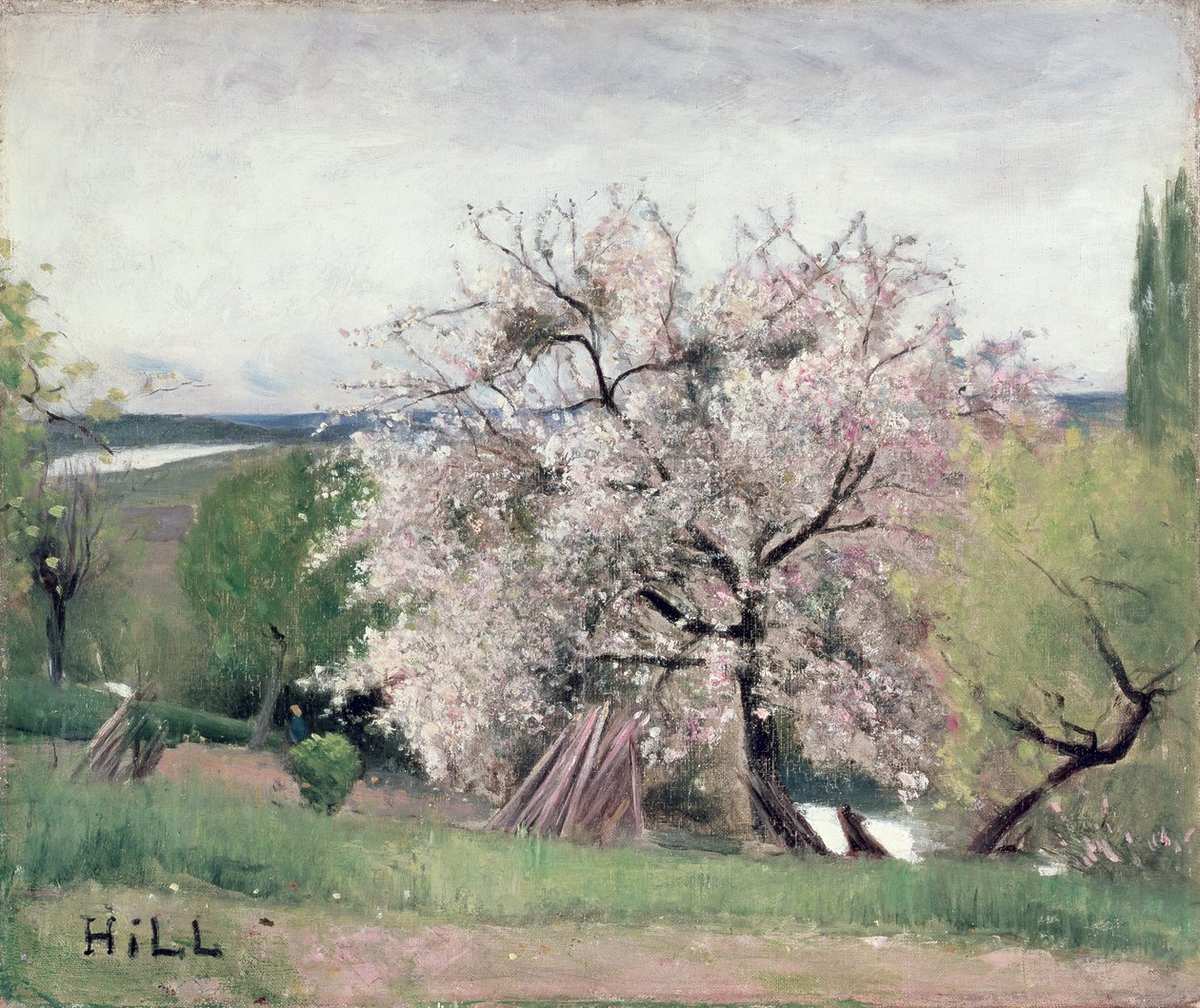 Çiçek Meyve Ağacı, Bois-le-Roi by Carl Fredrik Hill