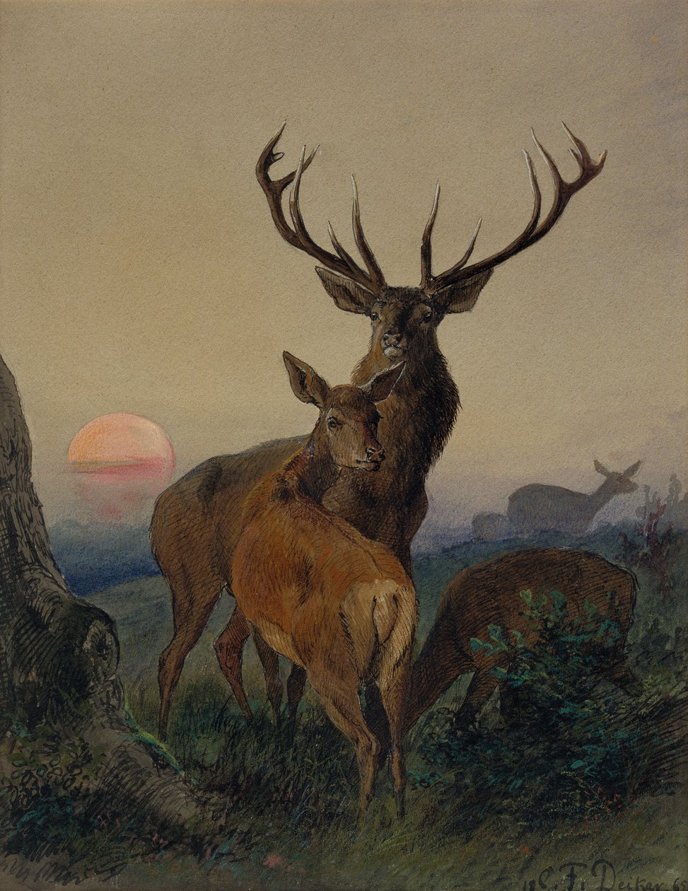 Gün Batımında Ormanlık Bir Peyzajda Geyik Olan Bir Geyik by Carl Friedrich Deiker