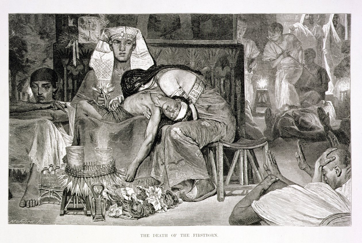 İlk Doğanın Ölümü, 19. yüzyıl (kağıt üzerine gravür) by Carl Friedrich Heinrich Werner