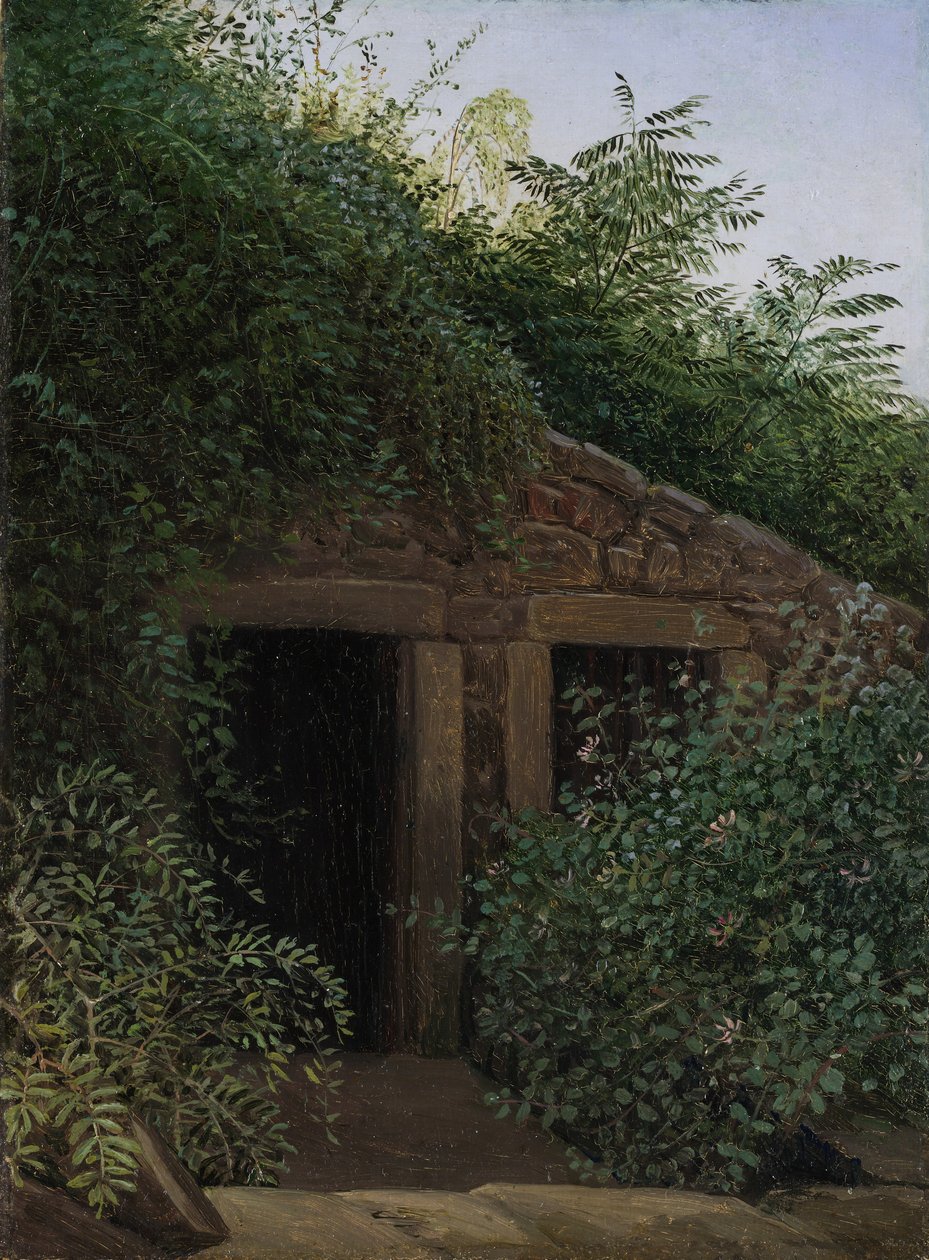 Aşırı Büyümüş Bir Mayın Kuyusu, ca. 1824. by Carl Gustav Carus