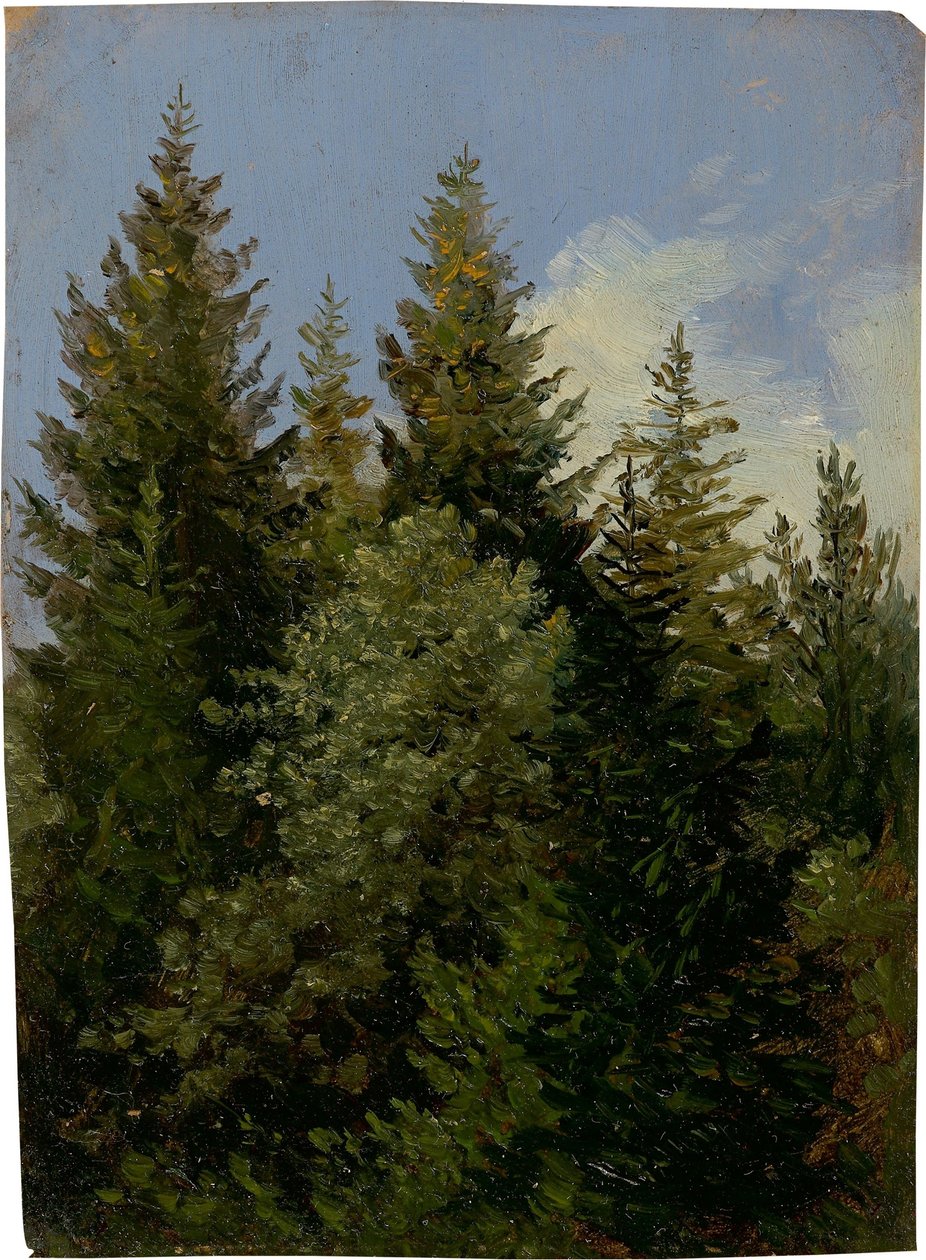  by Carl Gustav Carus
