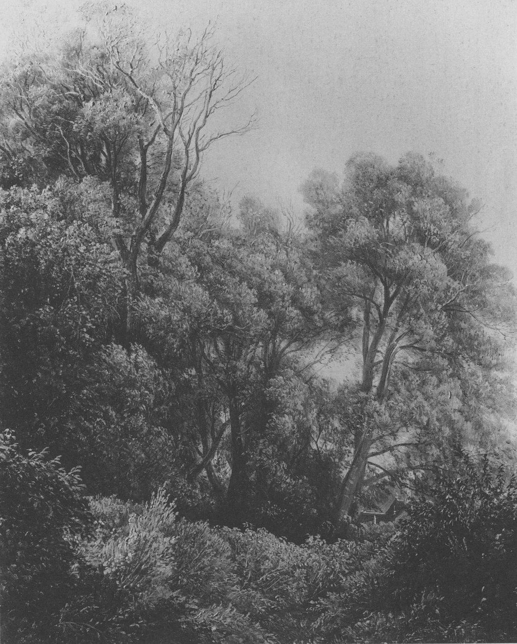  by Carl Gustav Carus