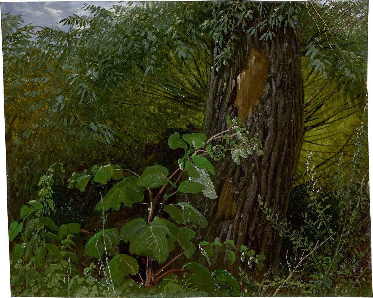  by Carl Gustav Carus