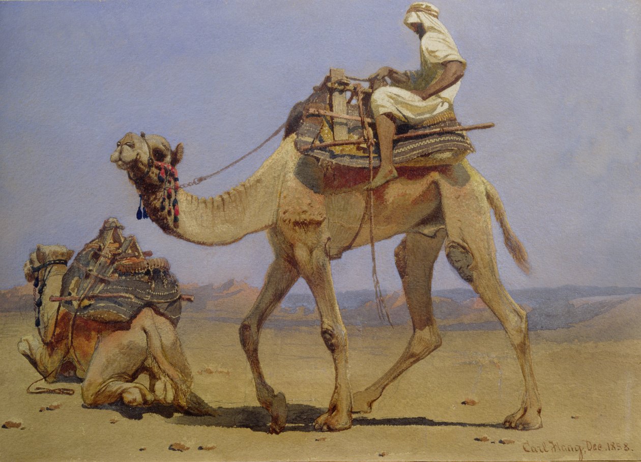 Yatmaya Hazırlanan Deve, 1858 by Carl Haag