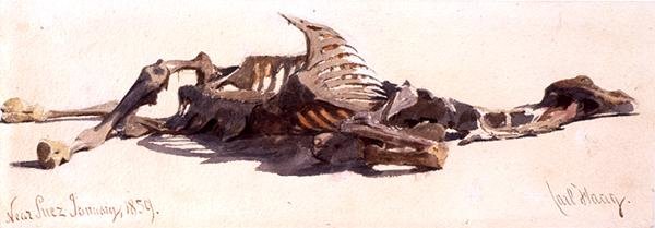 Süveyş yakınlarında ölü deve by Carl Haag